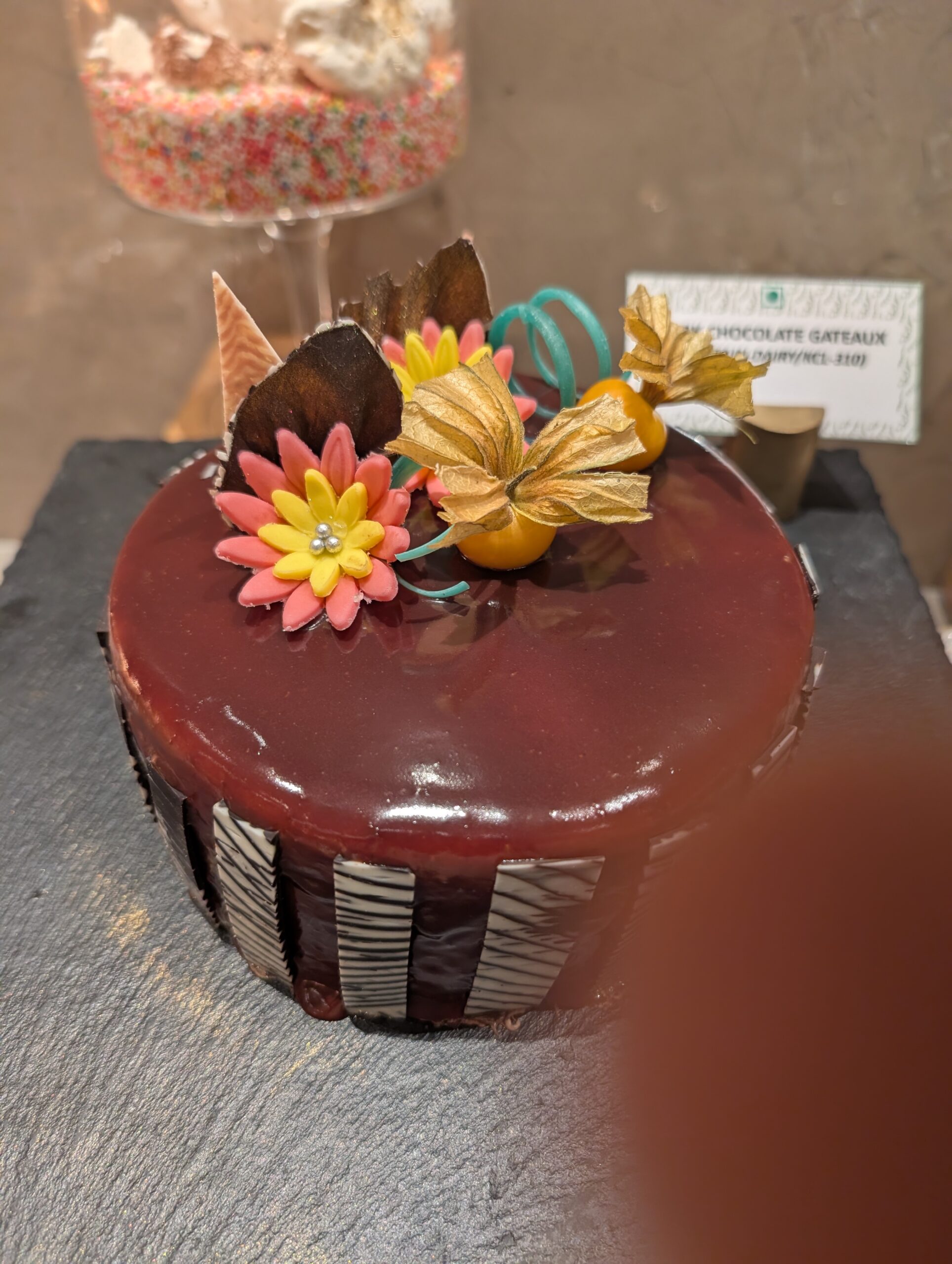 Rich chocolate gateau with dark glaze — the classic deep chocolate flavour profile